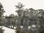 View of four timber piers of the combined road and railway bridge over the Snowy River at Orbost, 1921