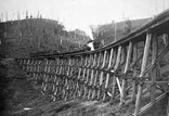 A steam train crossing a timber trestle bridge, Neerim, Gippsland, circa 1915