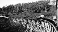 Trestle bridge, Noojee, 1934