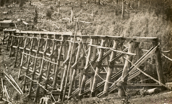 Rail bridge under construction on the Warragul to Noojee line, Neerim South, circa 1916