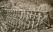 Rail bridge under construction on the Warragul to Noojee line, Neerim South, circa 1916