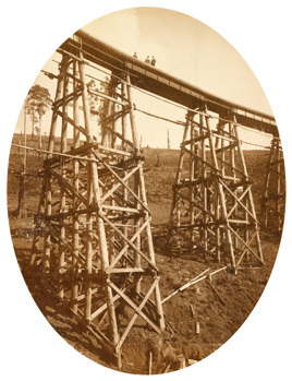 Rail bridge under construction on the Warragul to Noojee line, circa 1916