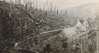Rail bridge under construction on the Warragul to Noojee line, Neerim South, 1918. The piers are in place and the decking is being added; the hillside on the left has been burnt by bushfires.