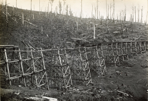 Rail bridge under construction on the Warragul to Noojee line, Neerim South, 1918. Timber trestle piers are in place and a travelling crane is lowering a girder into place.