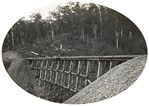 A timber trestle bridge spanning a gully on the Warragul to Noojee line, Neerim South, 1918