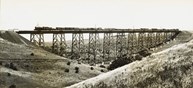A goods train on the completed Maribyrnong River Viaduct on the Albion to Broadmeadows line, Keilor East, 1928