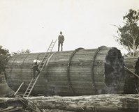 Two timber cylinders for piers 4 and 5 of the bridge over the Murray River at Yarrawonga, on the Yarrawonga to Oaklands line, circa 1930