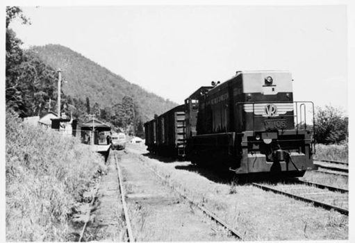 Y class diesel locomotive no. 106, Warburton Railway Station, 1964