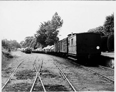 Warburton goods train, Mount Evelyn, 1964