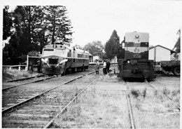 Walker 153 hp diesel railmotor and Y class diesel locomotive no. 116, Wandin Station