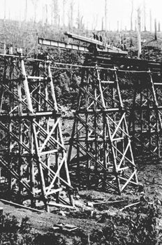 Noojee Trestle Bridge under construction, 1918