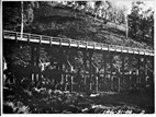 Curdies River Bridge, Timboon, March 1919