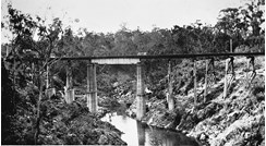 Bridge over the Nowa Nowa River, circa 1930