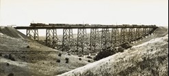 A goods train on the completed Maribyrnong River Viaduct, Keilor East, 1928