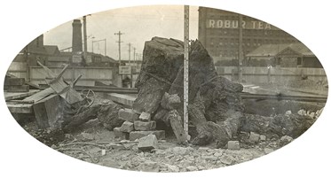 Spencer Street Bridge, circa 1917-30. A large stump, encountered during the construction of the bridge, taken from 63 ft below the water mark
