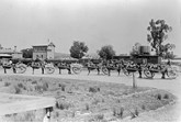 Horses and carts outside Beaufort Railway Station, circa 1890