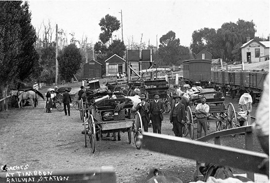 Horse-drawn vehicles and rail trucks, Timboon Railway Station, 1911