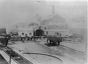 Grain stacks and rail trucks, Warracknabeal rail yards, circa 1895