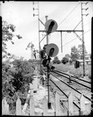 Searchlight home signal and semaphore