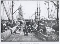 Loaded bagged wheat for export from rail trucks into sailing ships, Williamstown Pier, circa 1900