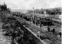 Rail line visible during land auction, Kilmore Junction, 1916