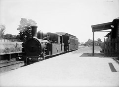 Steam locomotive no. 182, Deepdene, 1926