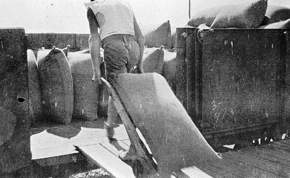 Loading grain into rail trucks, Nyarrin Station, circa 1920