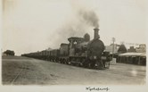 Goods train passing through Wycheproof, circa 1930. Steam engine is no. R 285.