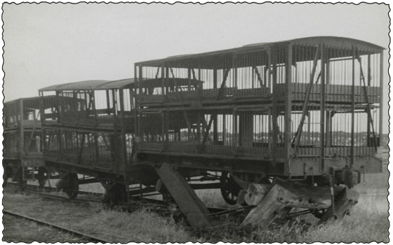 Livestock freight carriages, apparently damaged, circa 1930