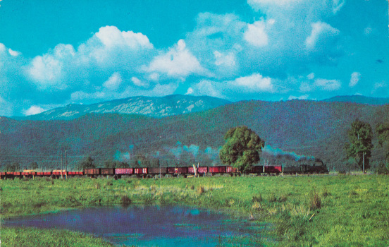 Steam locomotive hauling goods trucks, Myrtleford district, circa 1950