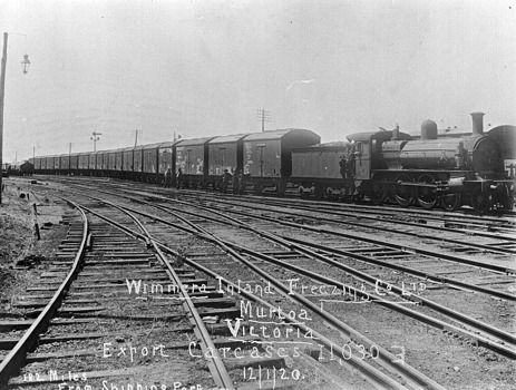 Transporting carcasses from the Murtoa Freezing Works, Murtoa, 12 January 1920