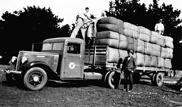 Carting wool to the railway from "Glenelg Vale" station, Chetwynd district, circa 1935