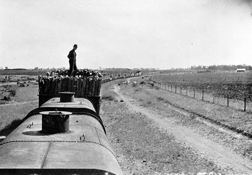 Hauling timber, Millewa district, circa 1924