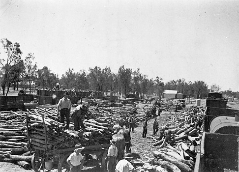Unloading timber, Red Cliffs Station yard, circa 1924