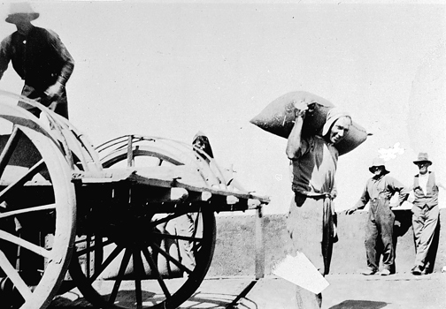 Unloading wheat, Raywood Station, circa 1934