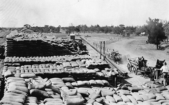 Wheat stacks at Sea Lake Railway Station, circa 1910