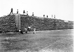 Wheat stack, Jeparit, circa 1895