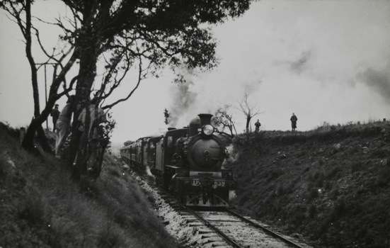 Excursion train, Daylesford district, pre-1930. Steam engine no. Dd 639 is passing through a cutting.