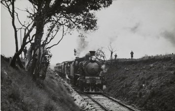 Excursion train, Daylesford district, pre-1930. Steam engine no. Dd 639 is passing through a cutting.