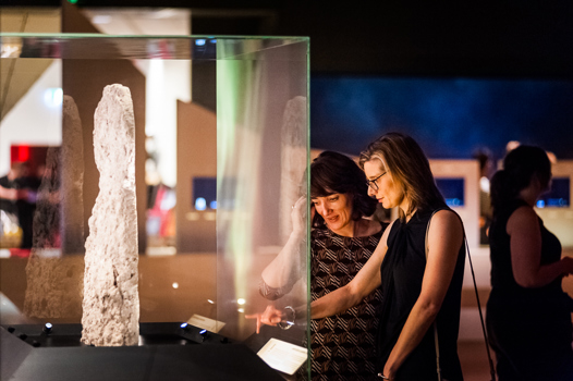 Temporary exhibition space at Melbourne Museum.