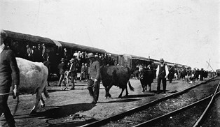 Better Farming Train, Mildura, 1926