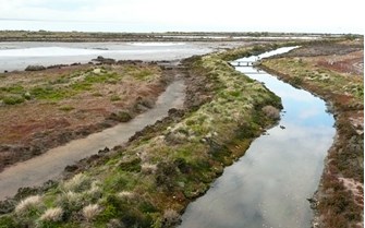 Coastal marsh area with low vegetation and water channels