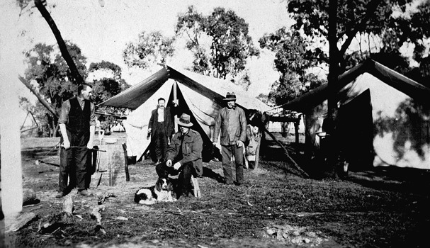 Survey camp for Millewa line, Red Cliffs district, circa 1920