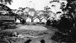 Survey camp for Millewa line, Red Cliffs district, circa 1920
