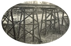 Chief Engineer Charles Perrin at the bottom of a timber pier of the Mundic Creek Bridge on the Bairnsdale to Orbost line, 1915