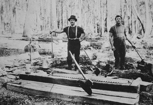 Cutting railway sleepers, Woodside, circa 1912