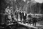 Workers unloading sleepers from a rail truck, Bairnsdale district, circa 1905