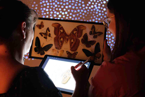 Two adults using a digital tablet to sketch butterflies and moths