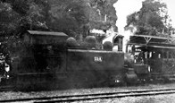 Train known as The Coffee Pot, Walhalla Station, pre-1945
