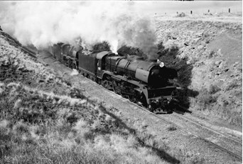 R class steam locomotive nos. 707 and 761, Bacchus Marsh, 5 September 1973